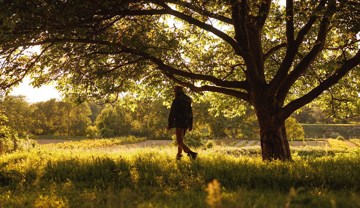 ”Jag drack ReFerm för att få tillbaka min energi”