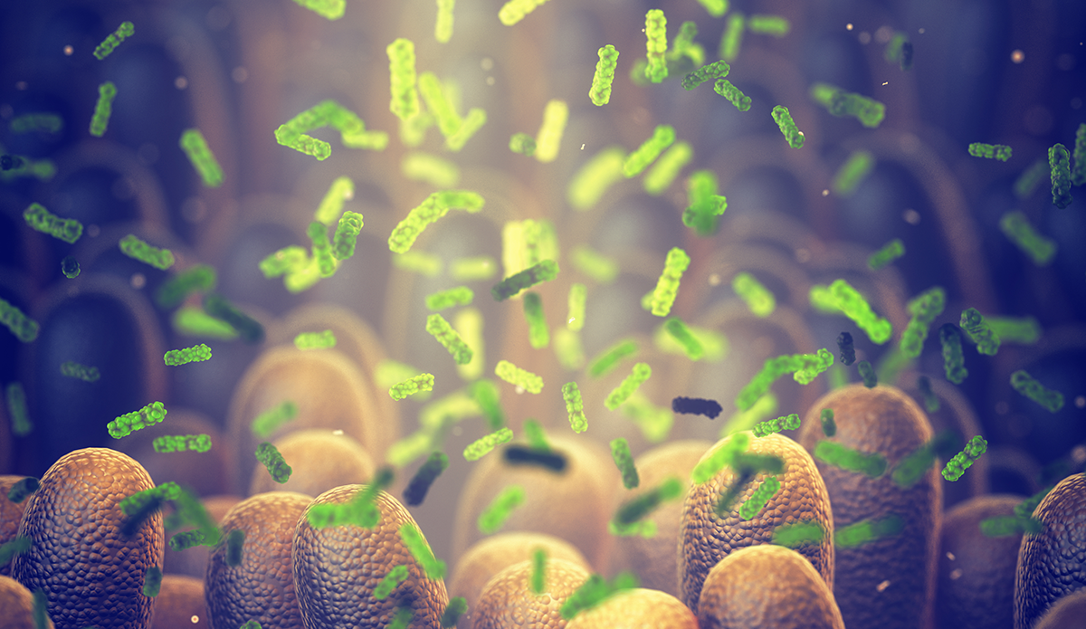 Postbiotika – ett nytt lovande sätt att behandla IBS