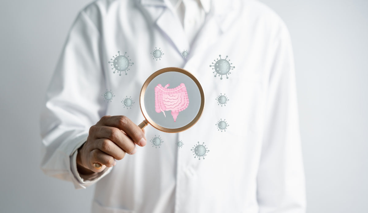 Allt du behöver veta om tarmslemhinnan & tarmbarriären