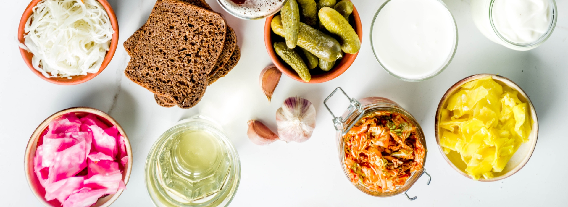 fermenterad mat för tarmen