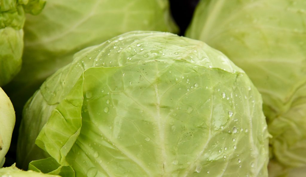 Gör din egen surkål