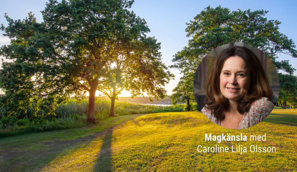 Medveten närvaro i höst