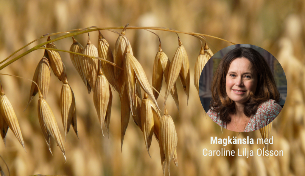 Från probiotika till postbiotika