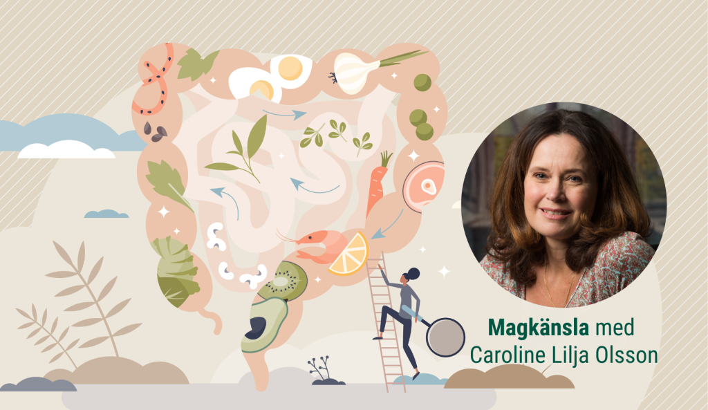 Stärk din tarmbarriär för en bättre hälsa