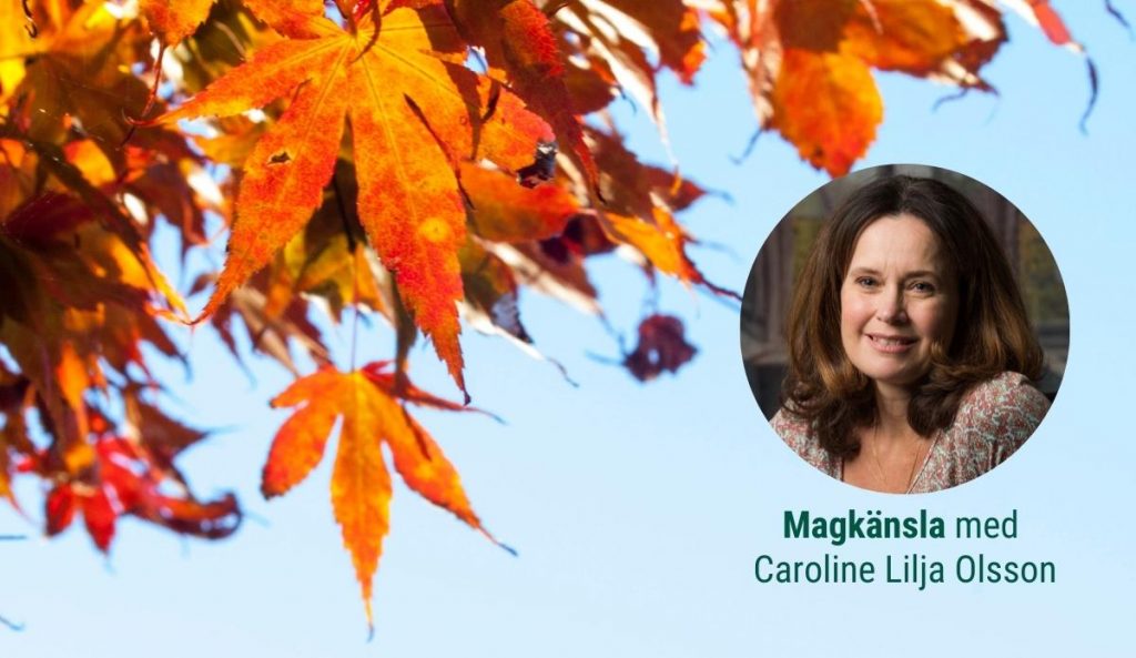 Höst – tid för nya vanor och hälsosammare liv