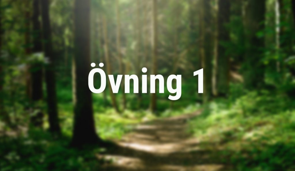 1. Registrering & Reflektion