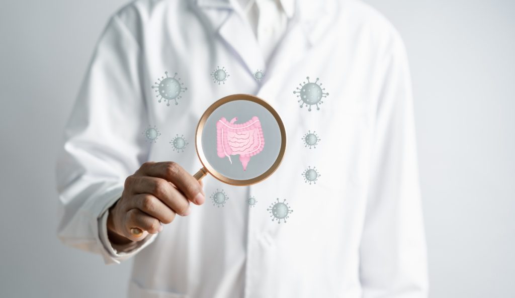 Allt du behöver veta om tarmslemhinnan & tarmbarriären